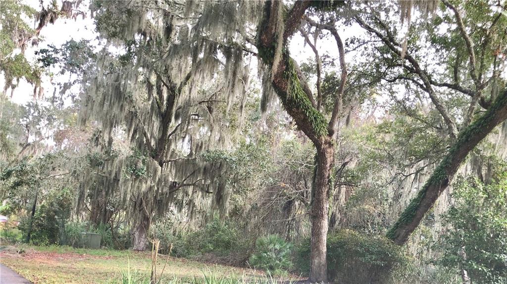 Natures Gate Court Fernandina Beach, FL 32034