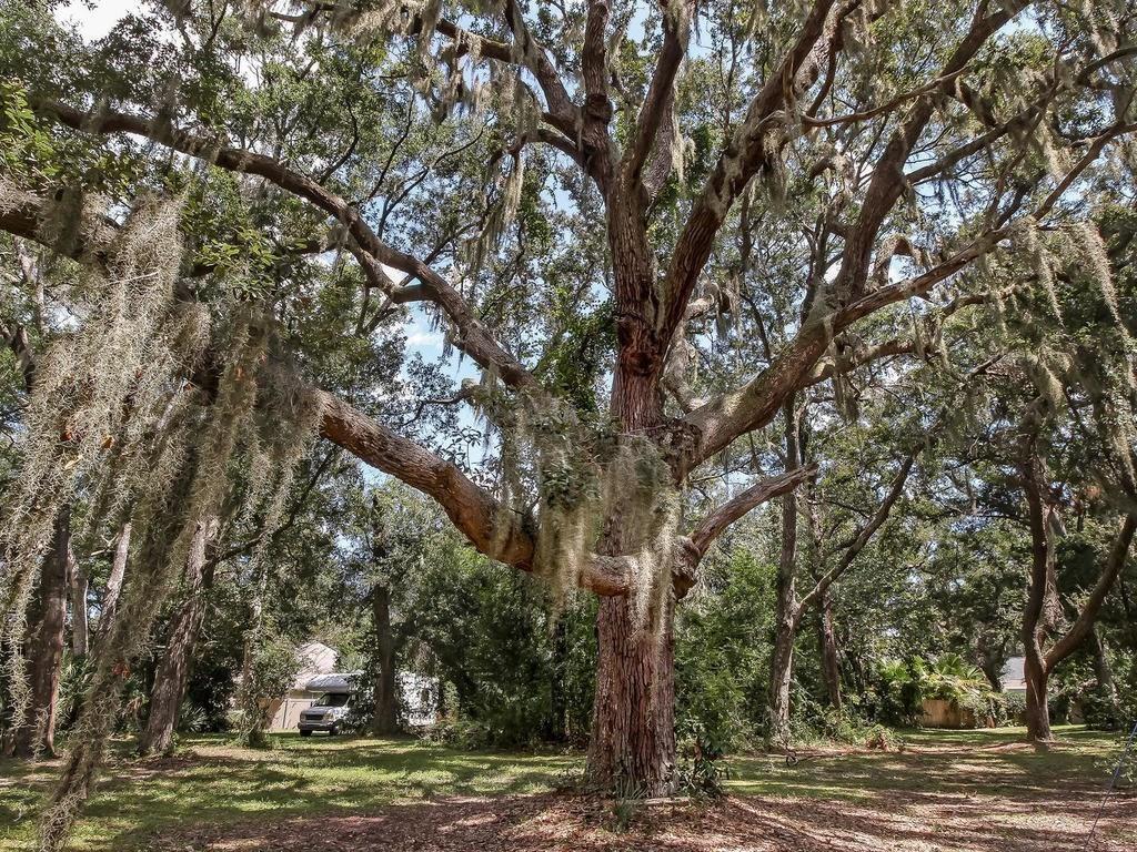 1664 Scott Road Fernandina Beach, FL 32034