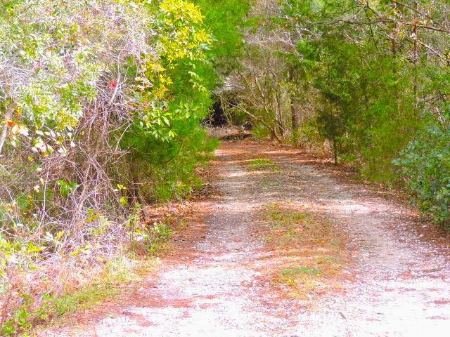 15447 Younis West Road Jacksonville, FL 32218
