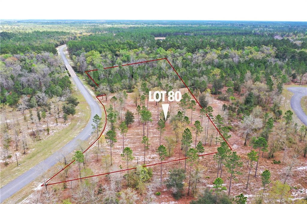 13538 Settindown Drive Bryceville, FL 32009