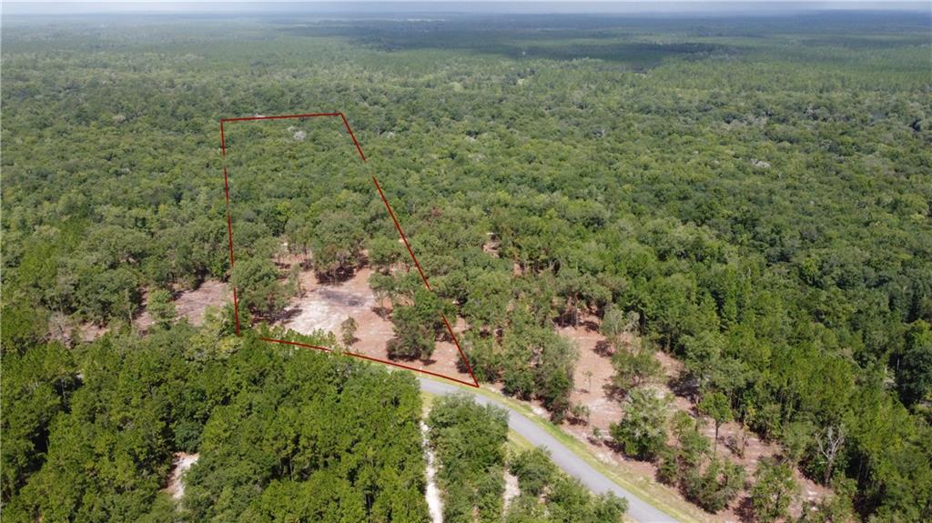 15427 Bullock Bluff Road Bryceville, FL 32009