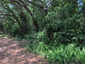 Lot 3 1st Avenue Fernandina Beach, FL 32034