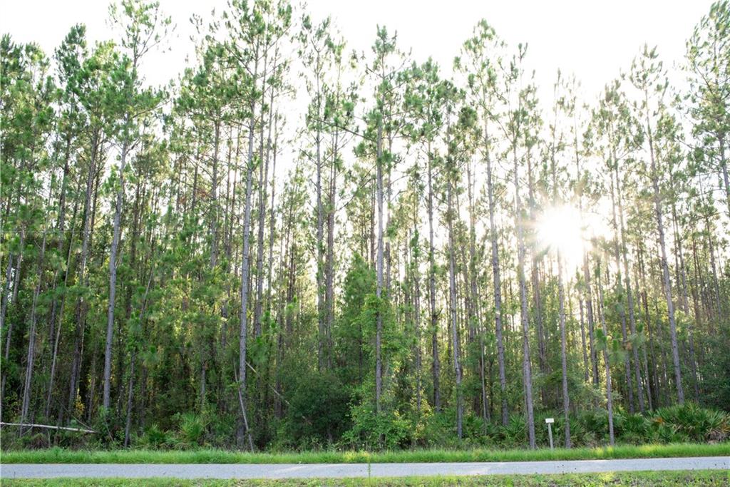Sheared Stokes Road Hilliard, FL 32046