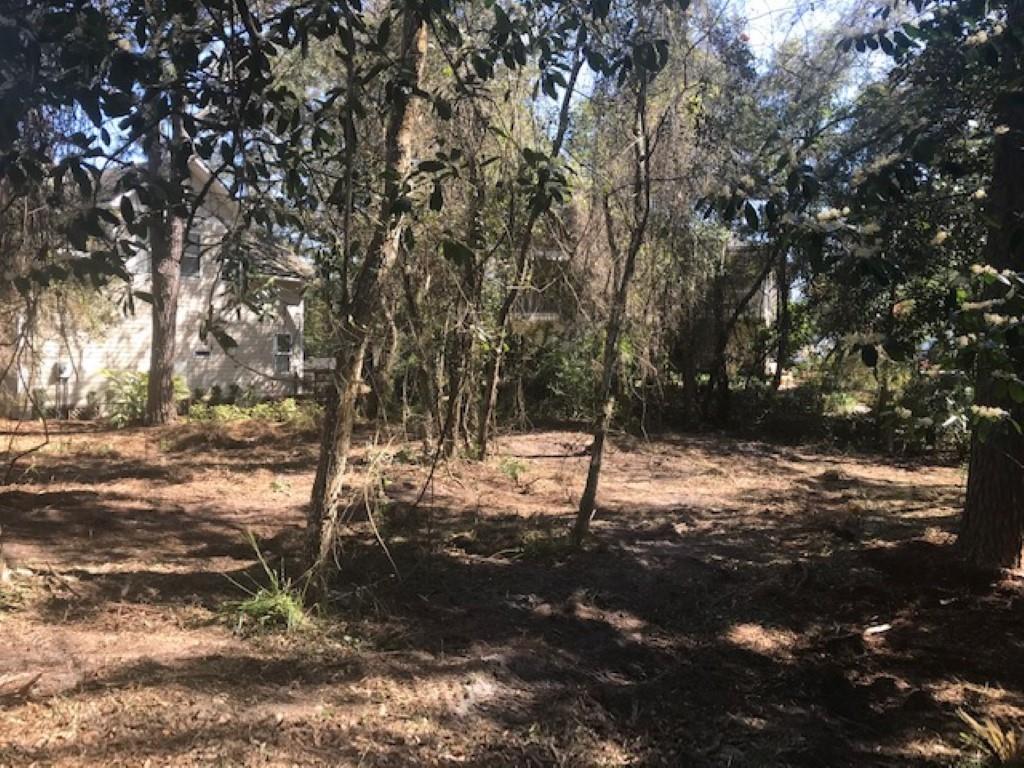 Lot 1 Robert Oliver Avenue Fernandina Beach, FL 32034